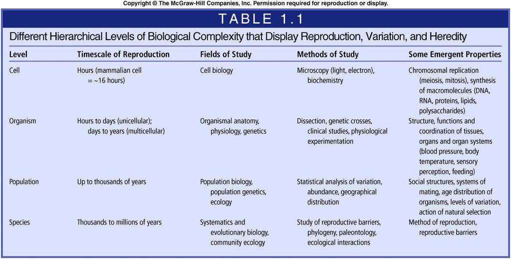 2. Complexity and Hierarchical Organization Table 1.