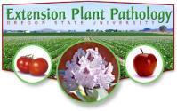 Plant disease Plant Diseases: Identification and Control