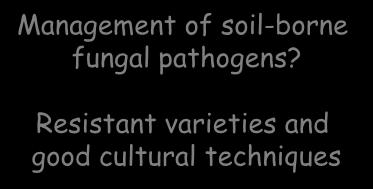 pathogens?
