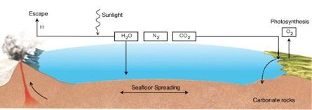 Earth s CO2 cycle Why the difference in CO2 concentration?! Rain washes out CO2! Calcium Carbonate deposits in ocean and on land as rock!