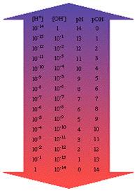 ) On the scale: ph < 7 is acidic ph = 7 is neutral ph > 7 is basic The ph scale is logarithmic (a change of 10x in the [H + ] results in a change of
