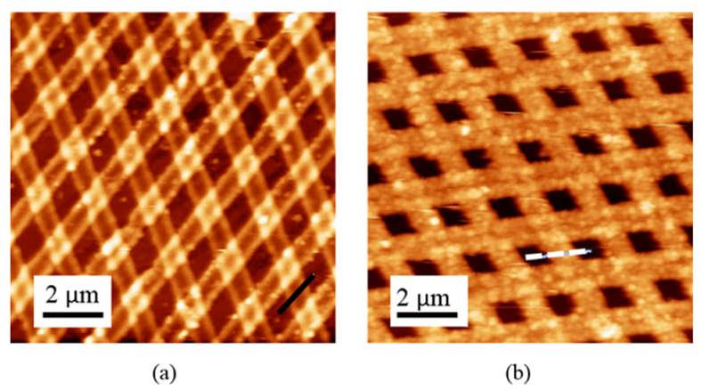 AFM Data: Physical Dimensions Atomic force microscope images of copper-coated PVP grid before the reaction with silver nitrate/sodium citrate solution (a) and after the reaction (b).