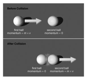 Conservation of Momentum The total momentum of interacting objects cannot change unless an external force is acting on them Interacting objects exchange