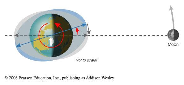 Tides and Phases Tidal Friction Size of tides depends on phase of Moon Tidal friction gradually slows Earth rotation (and makes Moon get farther from Earth).