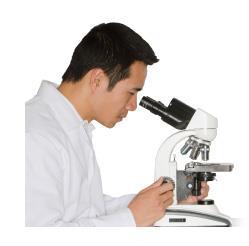A compound microscope is a type of light microscope that has more than one lens.