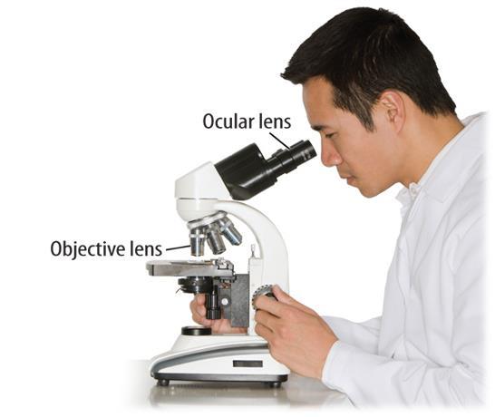 JGI/Getty Images Lesson 3: Exploring Life The invention of microscopes allowed scientists to view cells, which enabled them to further explore and classify life.