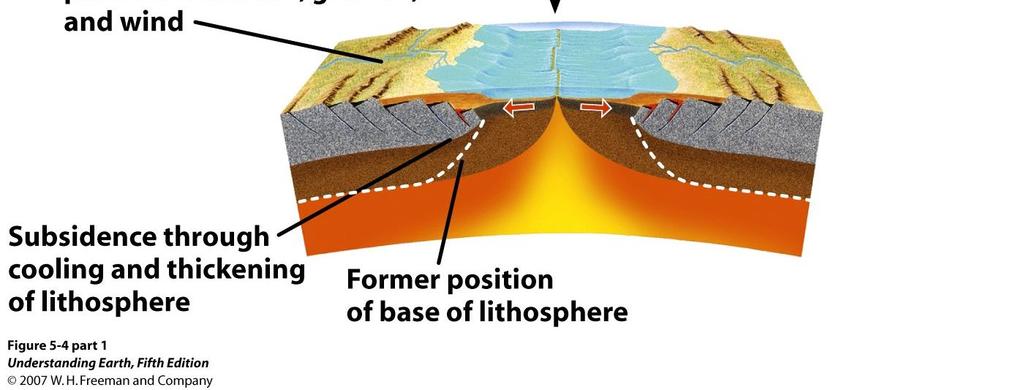 Sedimentary basins are depressions filled with thick accumulations of sediment.