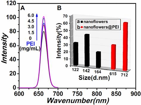 Fig. S5 (A) Effects of polyetherimide (PEI) with different concentrations on the UC luminescence of NaYF 4 nanoflowers (0.1 mg ml 1 ).