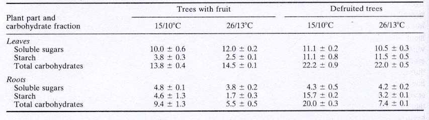 Carbohydrate levels for trees chilled at