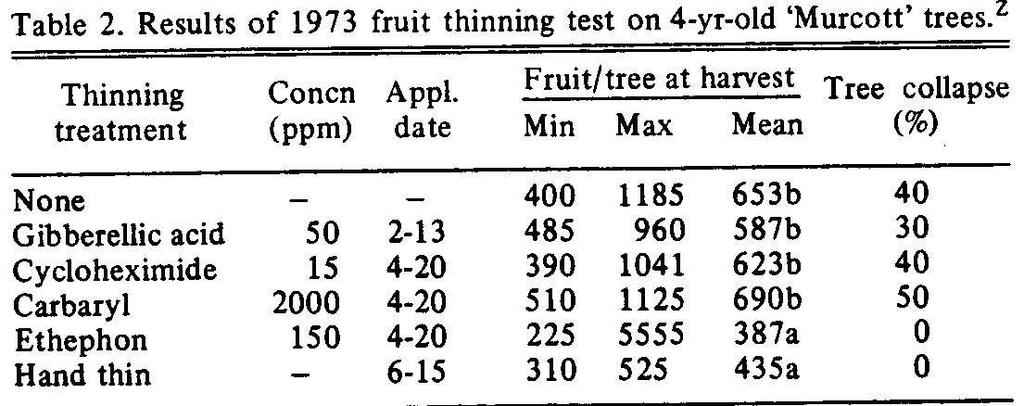 Effect of fruit thinning at