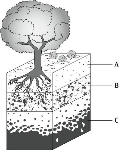 Unit 6- lesson 3 what is soil? I.Label each soil layer in this diagram:(hots) J.