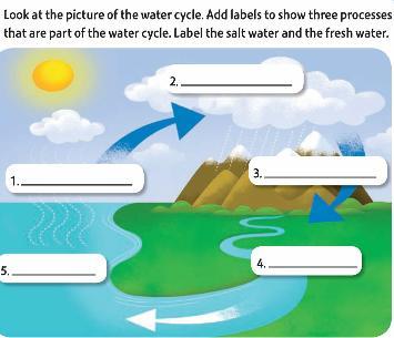 M:Complete the picture of the water cycle using the box