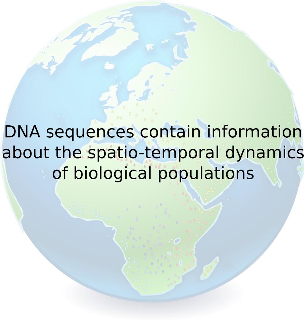 From DNA sequences to