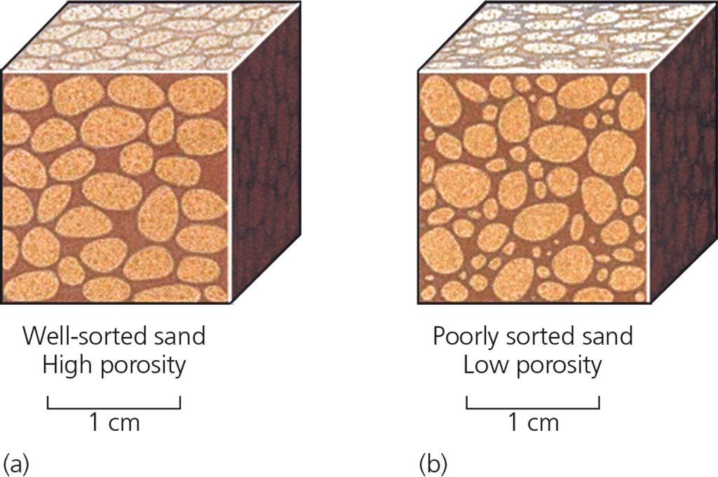 Porosity and Permeability Porosity is the amount of open space between sediment