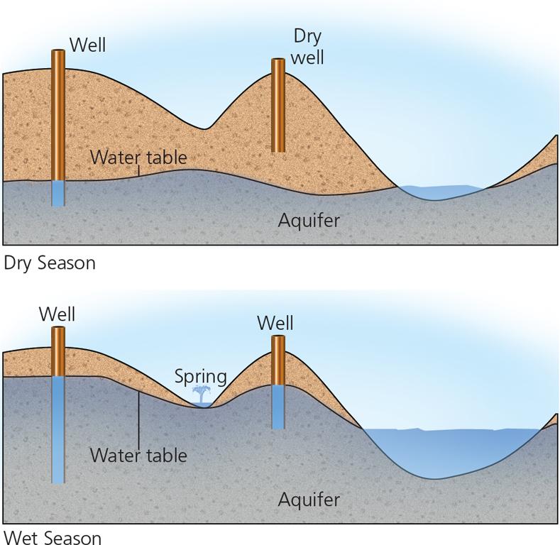 Wells can be used to remove groundwater from an aquifer. If the water table drops, wells may run dry. Wells and Aquifers Wells drilled into an aquifer must penetrate below the water table.