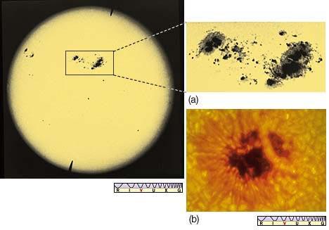 SUNSPOTS - cool areas of photosphere gas - sun can have 100 s of sunspots or none at all.