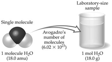 Avogadro s Number
