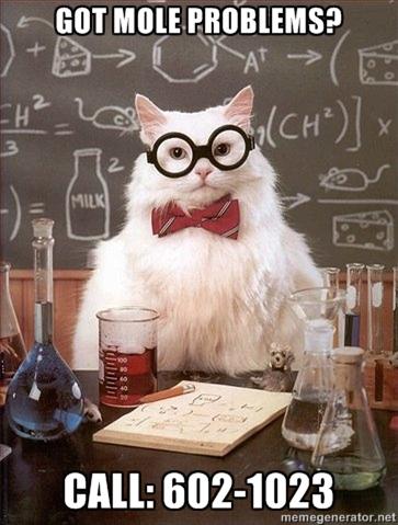 Regents Chemistry: Mr.