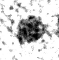 background of the larger Si/AlO 2 nanoparticles.