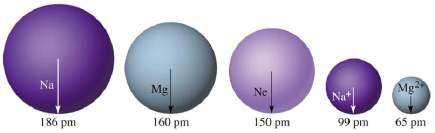 Ionic Radius Ions will have a different size than the atoms they come from.