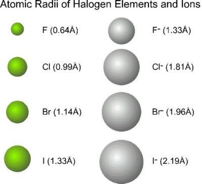 Which of the following has a greater ionic radius? a. Na +, Li + b.