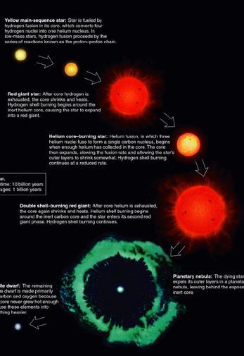 Low-Mass Star Summary 1. Main Sequence: H fuses to He in core 2. Red Giant: H fuses to He in shell around He core 3.