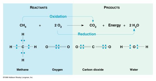 Oxidation-reduction (Redox) Reactions OIL RIG (adding electron reduces +