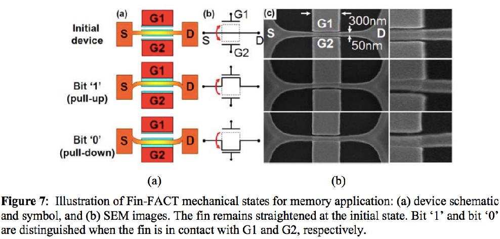 NEMS Memory Devices Ionescu, Adrian M.