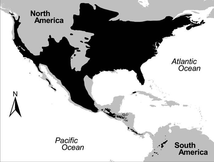 Global and Neotropical Distribution and Diversity of Oak (genus Quercus) 5 Fig. 1.1. Map showing the outer limits of the distribution of oak (genus Quercus) on the American continent.