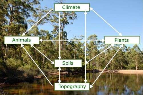 Ecosystems Soils, water, and temperature combine to create various places where certain plants will grow (and others won't) That determines