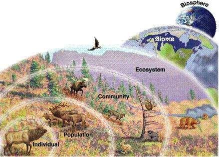 However, we can look deeper into the diversity of different types of areas.