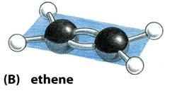 Chemical Bonds of Cellular Molecules (I) Covalent bonds are abundant in