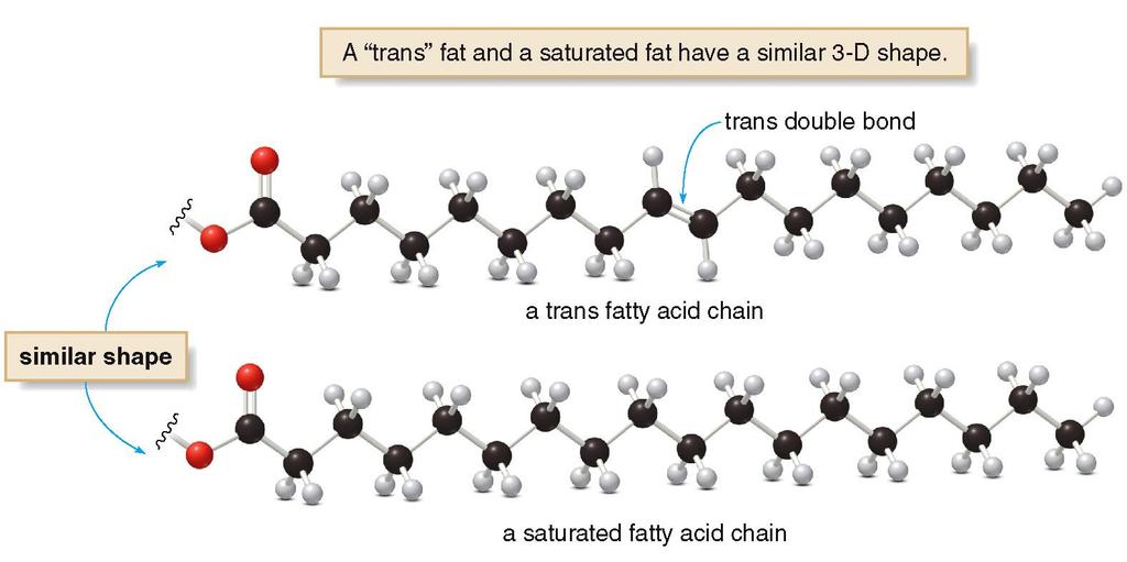 Focus on Health and Medicine Margarine or Butter? Unfortunately, some partial hydrogenations leave trans double bonds on the fatty acid chain.