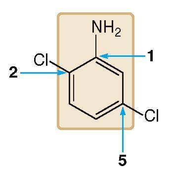 Nomenclature of Benzene Derivatives C. Polysubstituted Benzenes Name the molecule as a derivative of the common root aniline.