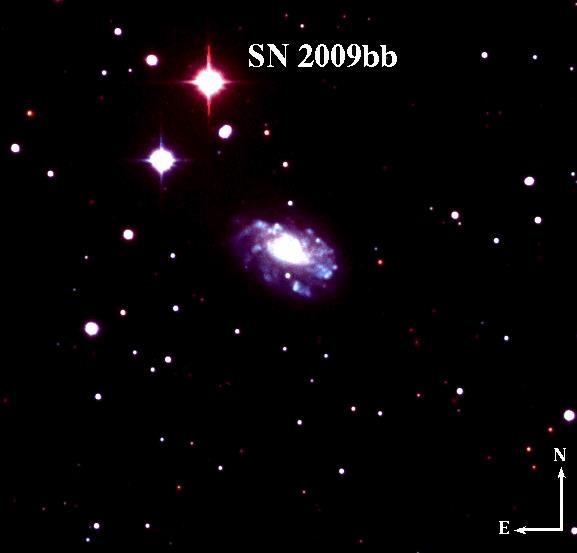 Life of a High Mass Star Supernova