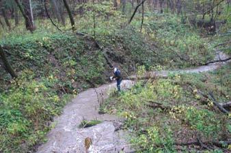 Primary Sources of Sediment Bluffs, ravines, gullies, streambanks, and upland runoff contribute sediment to the streams and rivers in the Minnesota River Basin.