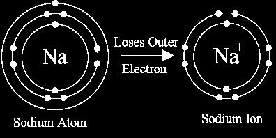 Ion Formation O Positive Ions- O Called cations O Lose electrons O Atoms get smaller O