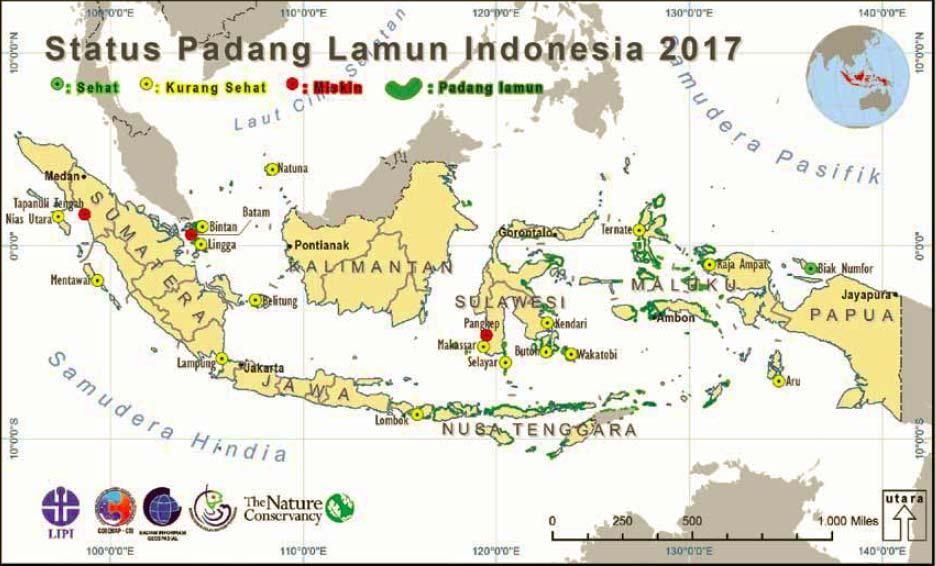 Condition of Indonesian Seagrass Beds in