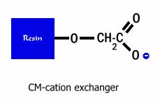 Quaternary amine; and DEAE resin, DiEthylAminoEthane), used for cation separation Cationic exchange