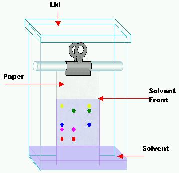 Paper chromatography (PC) Principles of PC: 1. Compound is placed on stationary phase 2. Mobile phase passes through the stationary phase 3.