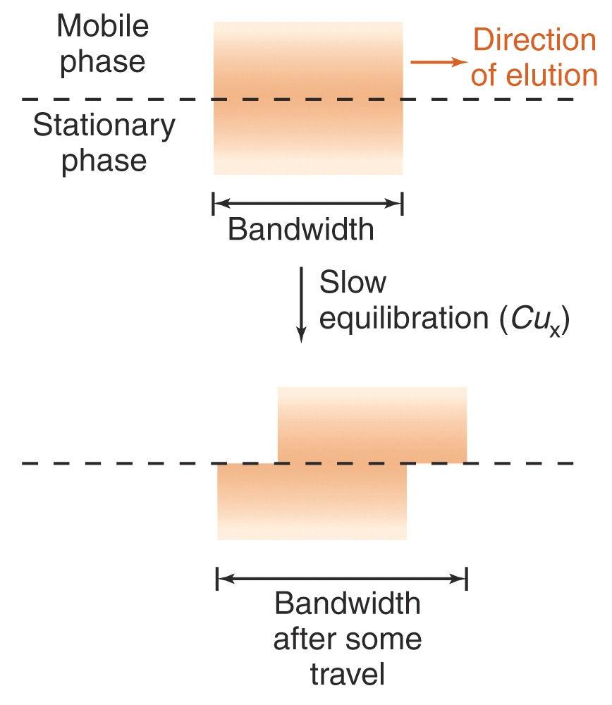Chromatographic Theory-Slow Equilibration