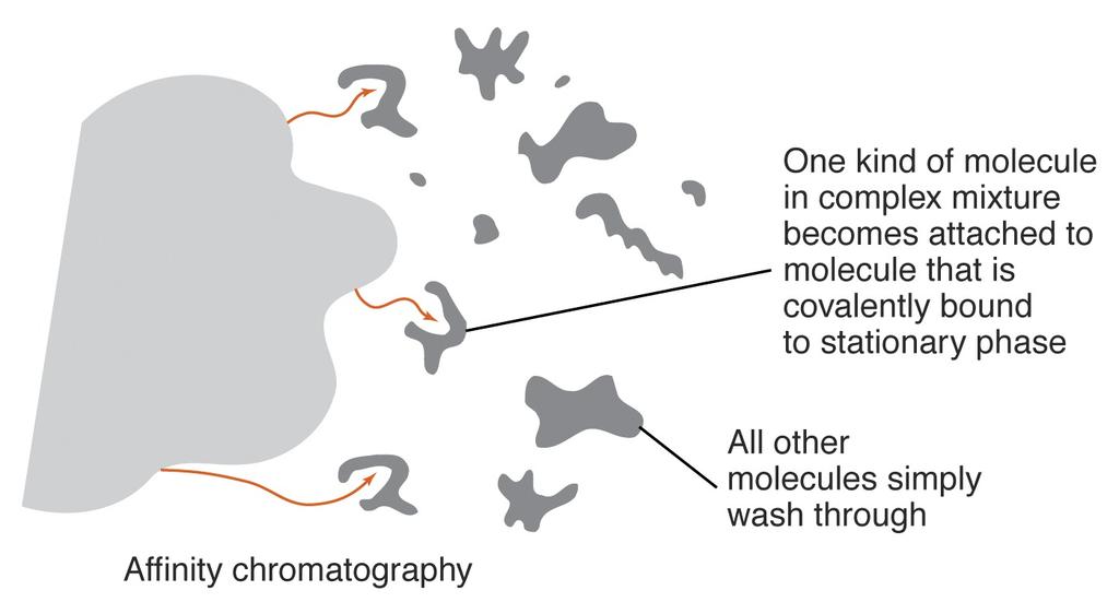 Chromatography-Types