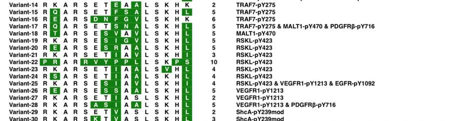 (A) A list of SH2 variants, the corresponding ptyr-binding pocket residues