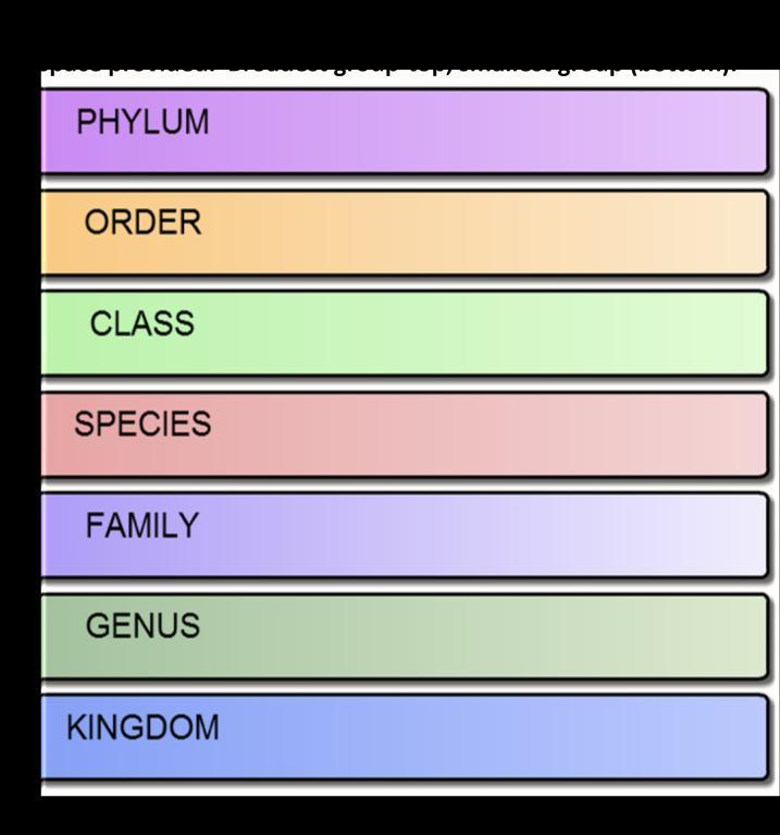 The modern classification system uses a series of levels to group organisms. An organism is placed into a broad group and is then placed into more groups based on its.