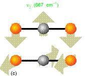 Mutual Exclusion Principle For molecules with a center of symmetry, no IR