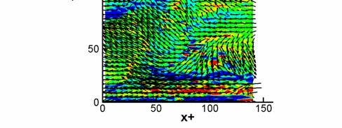Turbulence structure Turbulence structure is observed from vector map of the instantaneous fluctuation velocity. Both the PIV measurement and DNS show similar structure in near wall region.