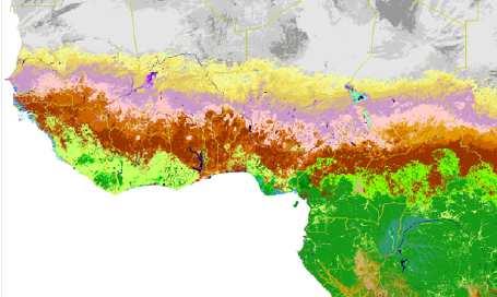 Global Land Cover GLC 2000 from SPOT