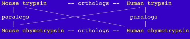 In summary: there are two types of homologous - Orthologs: proteins that carry out the same function in