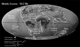 continents to one another) -lots of shelf area for shallow