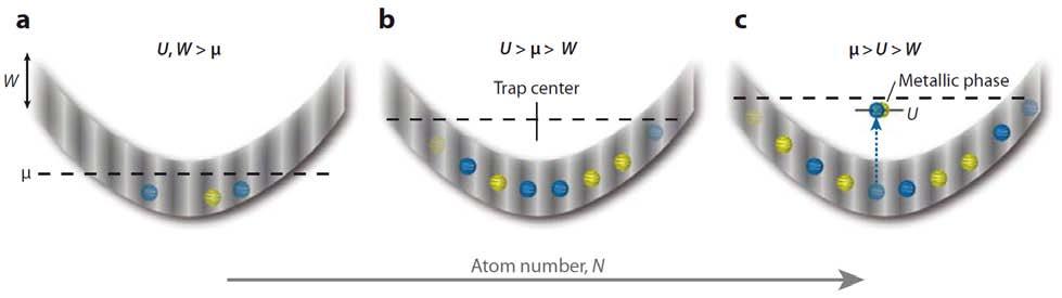 which both atoms have the same spin. This antiferromagnetic superexchange interaction is given by J ex =4 t 2 /U and favors anti-ferromagnetic order.